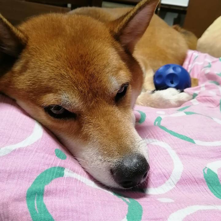 Ff599c62 67a7 4aee 9a14 a4a37f86e3e7 1599307307348