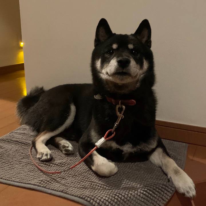 Ff59afc1 aeeb 413a 90c1 fa1621c20929 1635499211921