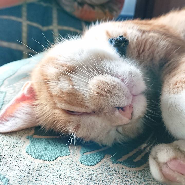 Ff59d231 fd33 4a3a a360 c39e2cd0da89 1566338427228