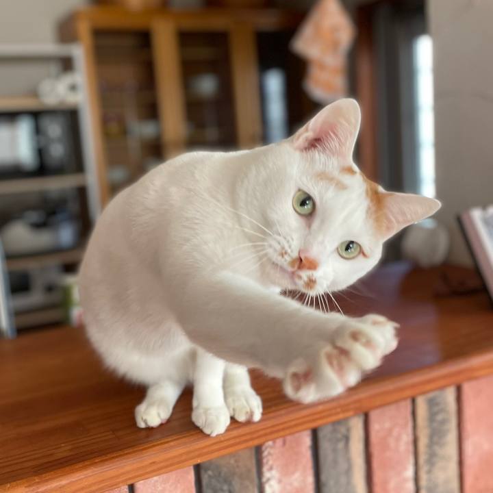 Ff5a0524 2582 4430 b840 3c3d24825b27 1644387172292