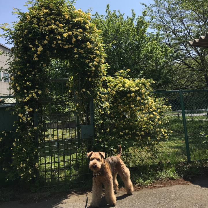 Ff5a4499 de9c 4ec1 bc89 510ac2d9ea66 1524280966140