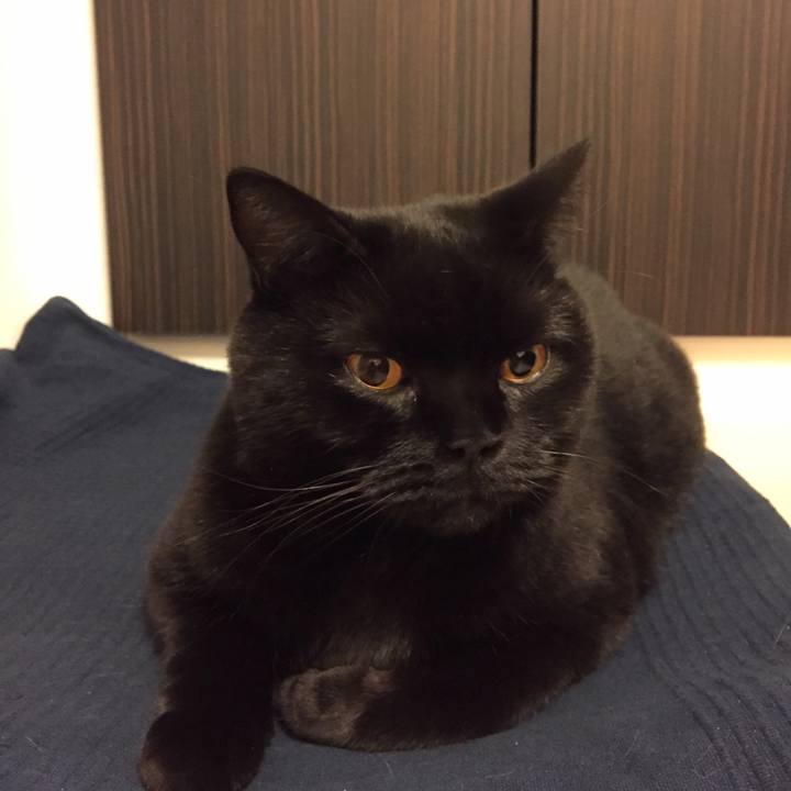 Ff5a48ca e95e 47e9 a29e c8200a913d27 1572430146183