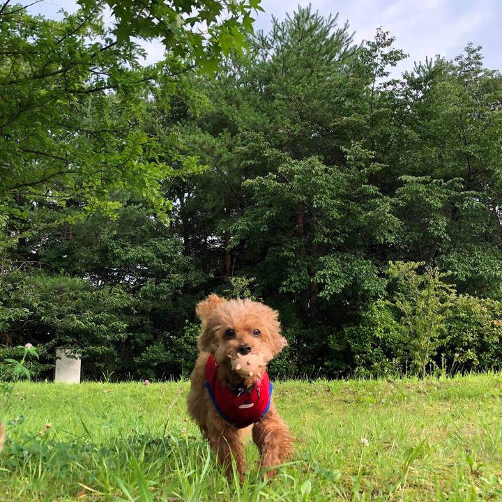 Ff5a4c67 e6dd 401b 806e 35a8ce2925f5 1564448843608