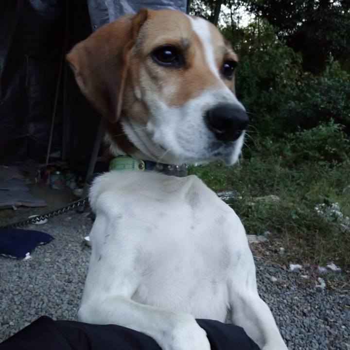 Ff5a75ff 1134 4852 a509 4ce8d7fcabbd 1603268825437