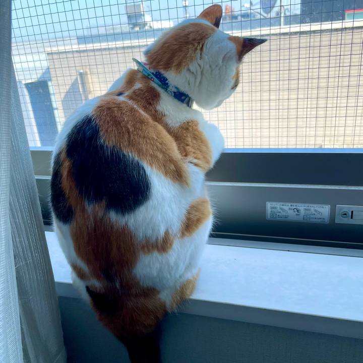 Ff5a9228 4ac4 44e9 8637 971811a4e548 1721618968456