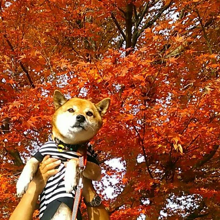 Ff5a9288 cda7 4fda bb2f 06aea834b111 1574596393477