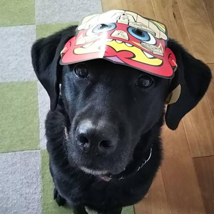 Ff5aa200 348f 4481 a12a f37442d54788 1691807625078