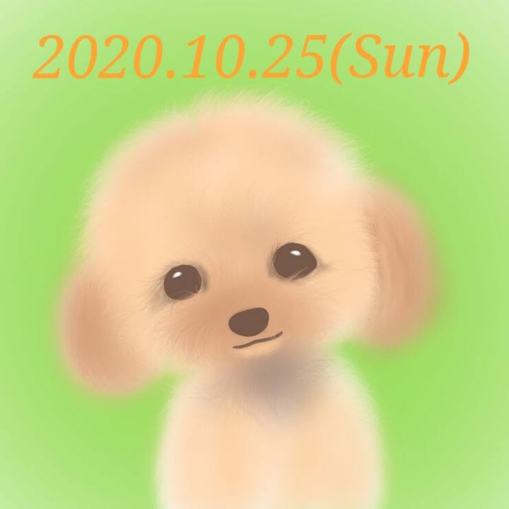 Ff5ab321 1d1e 4bfb bcfe 2aa9544d3f9d 1603626461641