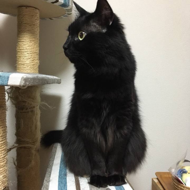 Ff5ae384 04b8 4167 be49 d22a8afb8bf7 1522196124115