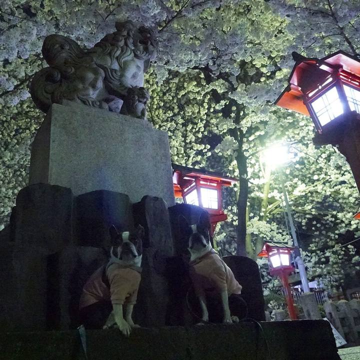 Ff5ae3c4 1332 4f79 9143 b24566bd4f6c 1522156244171