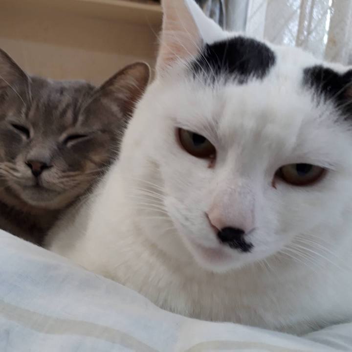 Ff5b2a1c 6884 492d af6a 594cf53f3708 1514816050001