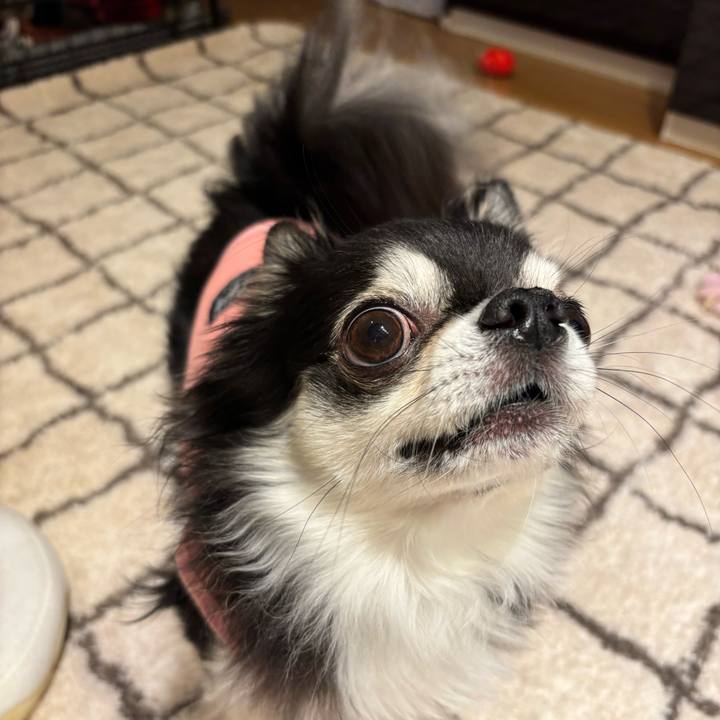 Ff5b49b0 c72c 4bf8 aeef 8d6b2a6a7219 1734883079068