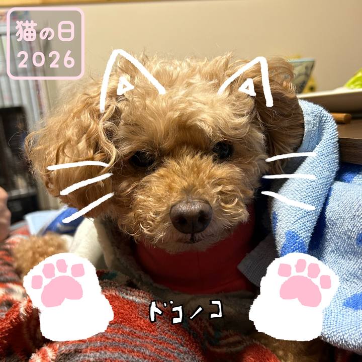 Ff5b4e61 4849 4df3 8b1d 3475b9b55143 1771721017005