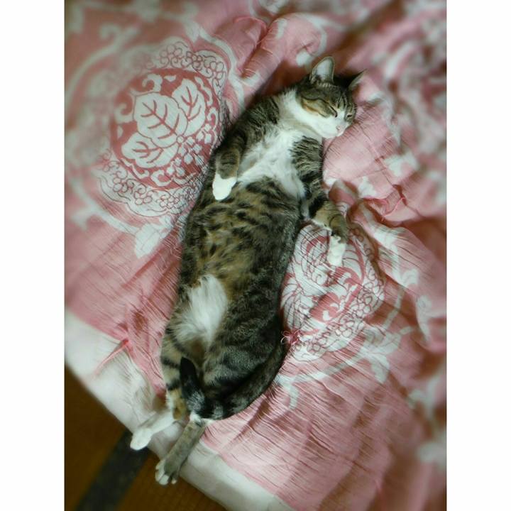 Ff5b5370 a6d4 4c61 ae22 266410eb45df 1537162364359