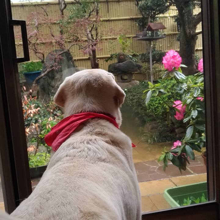 Ff5b5e42 12d5 496f 8bfe fd44adcf5151 1586065741013