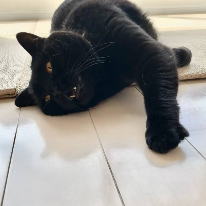 Ff5b72de 36fe 4cee 81fc 7d50f997fa8d 1682232513580