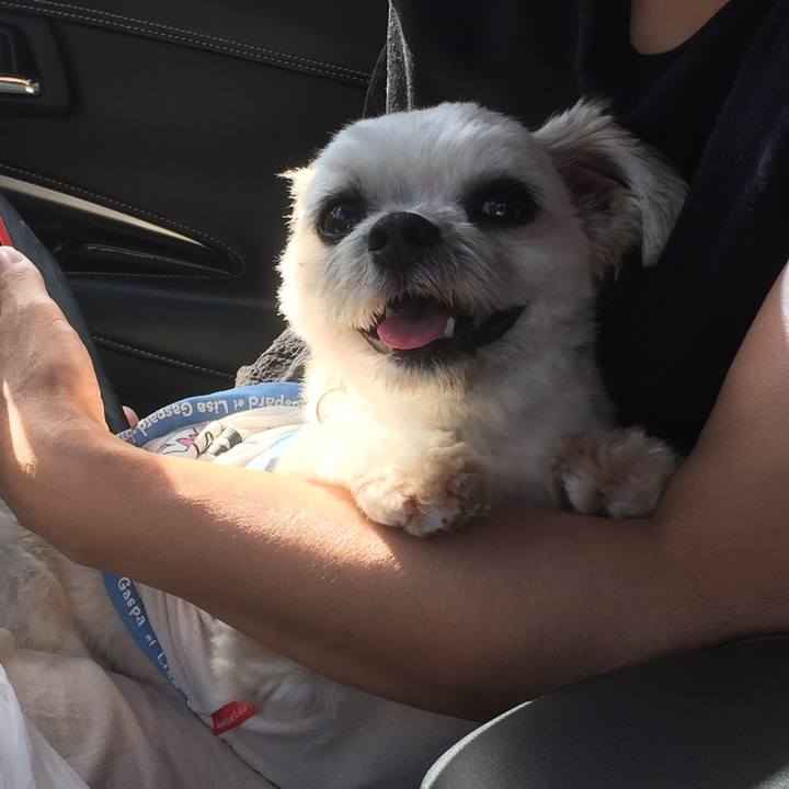 Ff5b8557 db79 424b 85b5 a3720e8ce18a 1568506558948