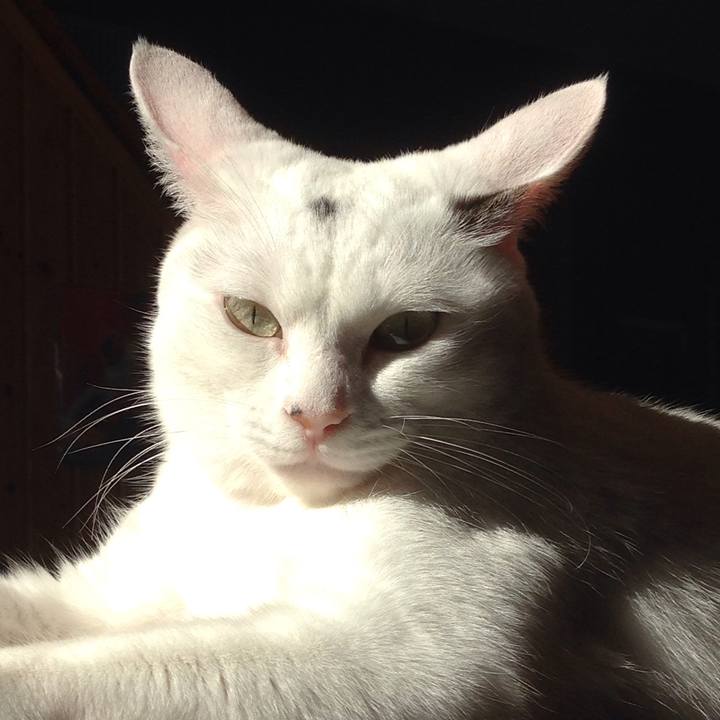 Ff5b9578 a071 41d4 b7e2 845b924738c7 1507942286046