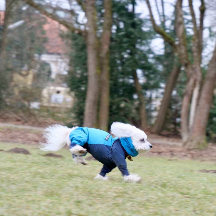 Ff5b9bf8 64c1 4a09 a57d 2508e11a2c8d 1769121440864