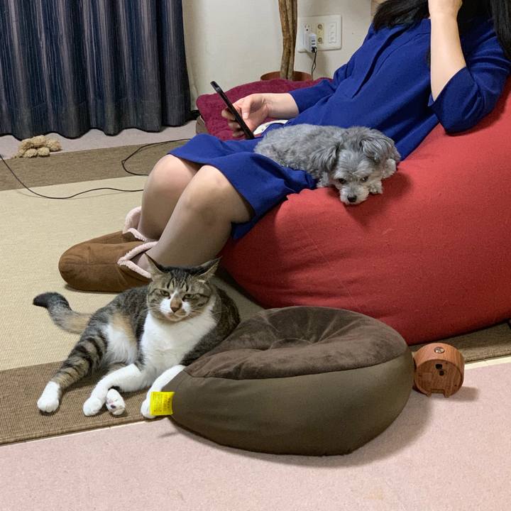 Ff5b9f03 51c3 4079 9a54 9ec6d675eb9b 1554381662685