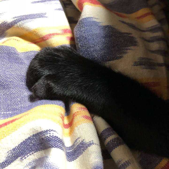 Ff5ba24c 7c27 4f22 836b 051af7274ce5 1515684137344