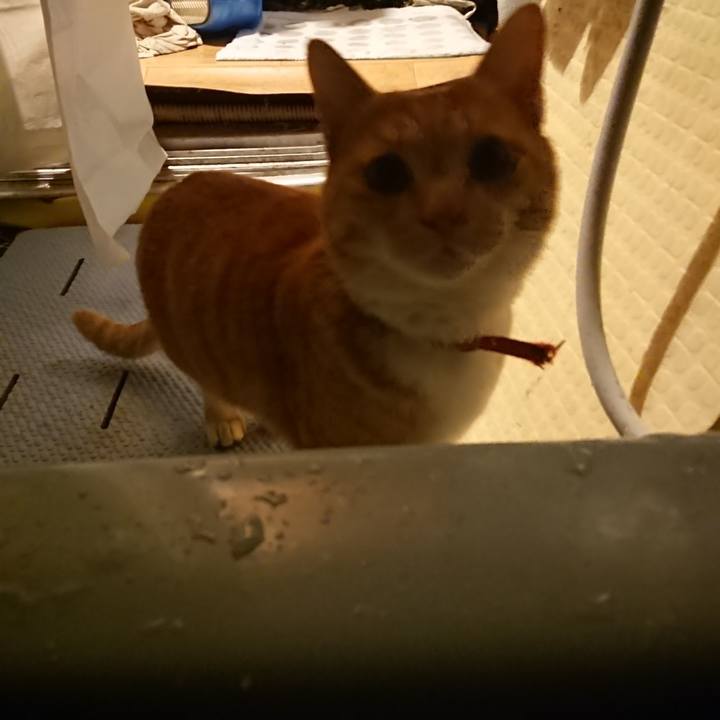 Ff5baaa9 0019 4e4f ab5a f01b84e13767 1575020169157