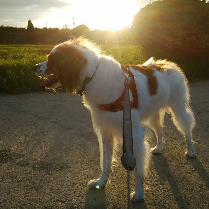 Ff5bedc8 a4db 416a 9cdb 9d0f7692aa97 1533731728860