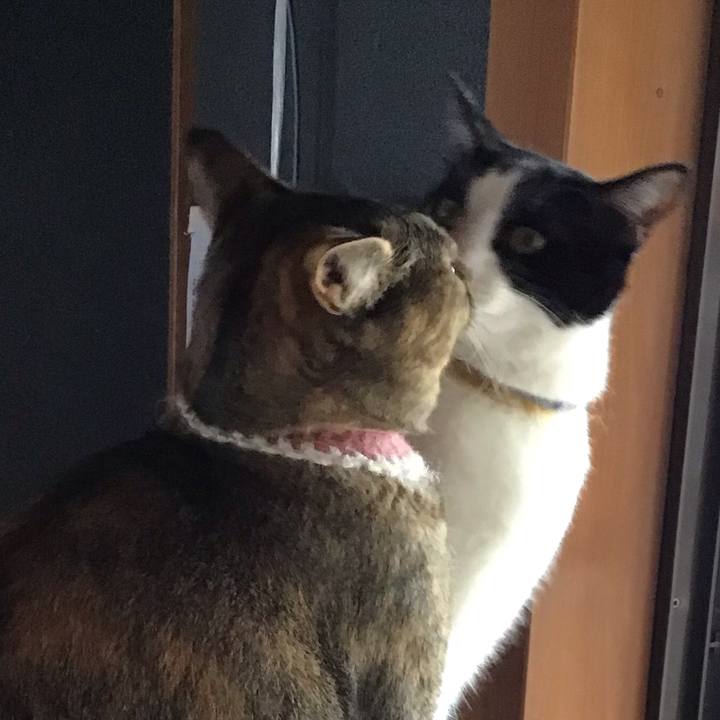 Ff5bfd2a 675a 400e 8089 858da61dc211 1652251894334