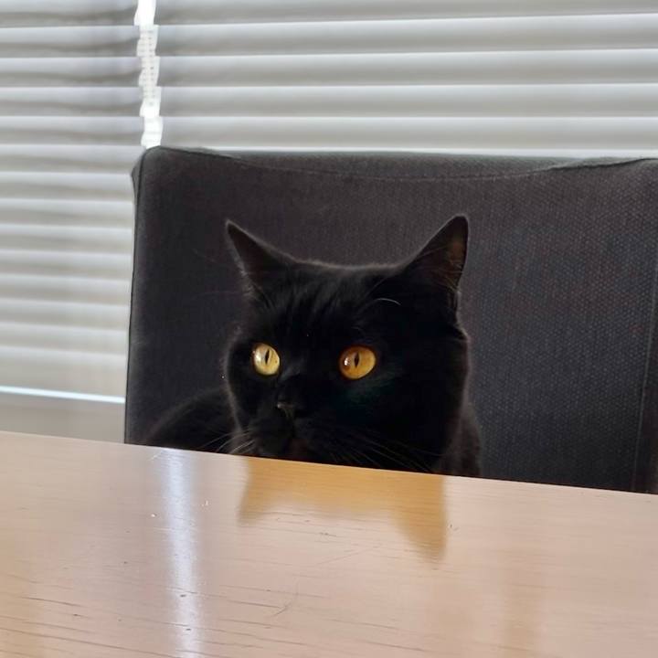 Ff5c11bc c120 4145 b9dc 34d60d379594 1644725660924