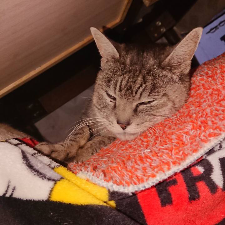 Ff5c15af 8049 4a4c ac3a 8895224aefe6 1580507474858