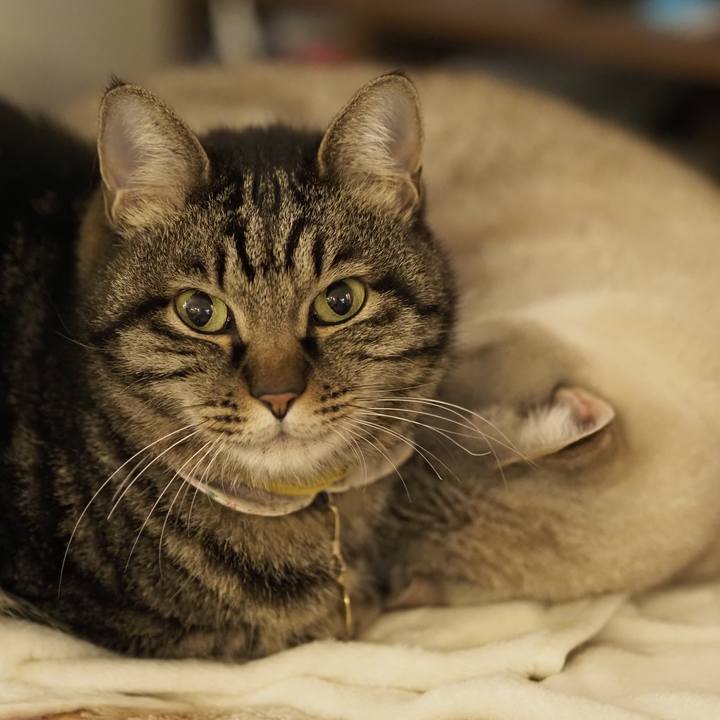 Ff5c18d4 bf9e 458a 9568 96c762c25527 1708487319060