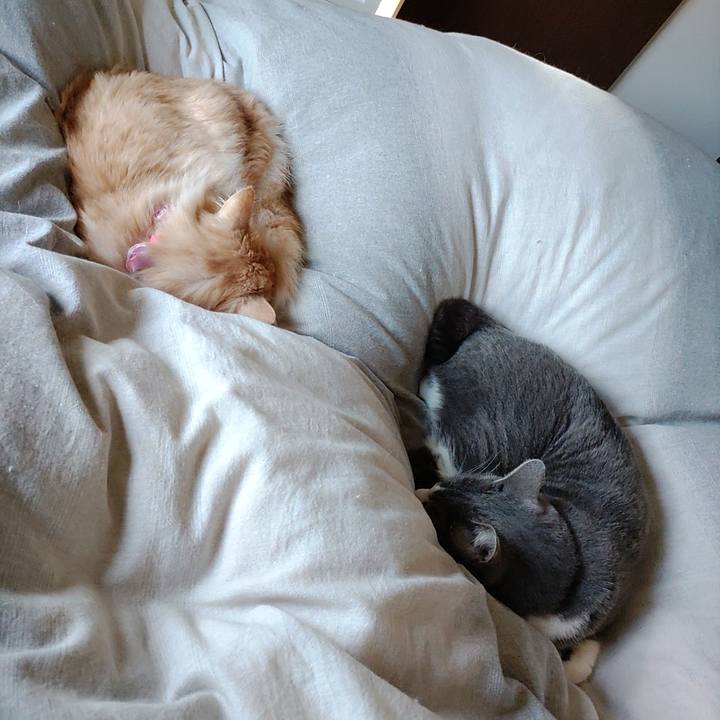 Ff5c509b f16f 474b a80e 6c2abea65b08 1680999906671