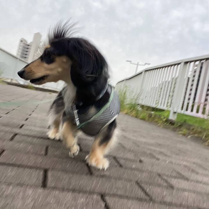 Ff5c7fb0 7be3 4381 8816 95ee5412e555 1747625175566