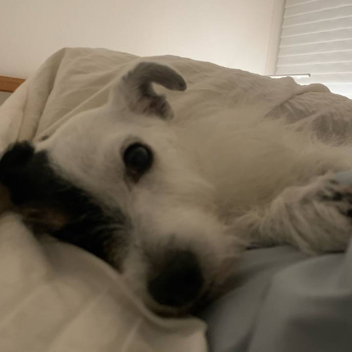 Ff5c83ea 97d8 413a b665 36af93e2ea0e 1694093949525