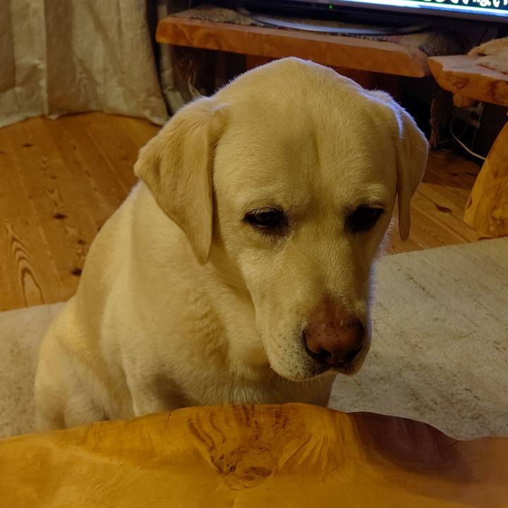 Ff5c8920 c31f 4447 ab93 7521d40f8d6c 1660571025385