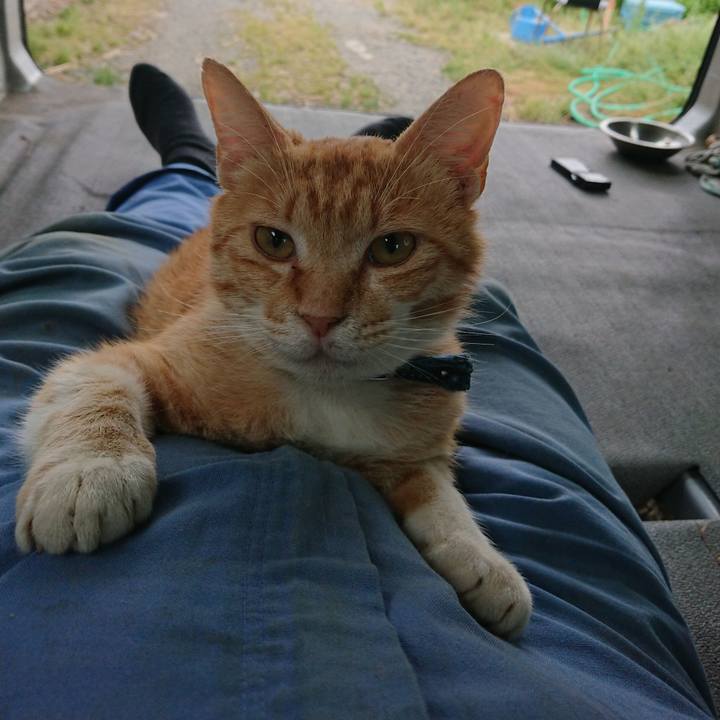 Ff5ca16d d0f1 4456 80d0 8e5bd1f761cc 1560071516309