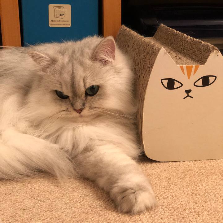 Ff5ced1e 344f 4406 a8db 19a666ac52bc 1543303237982