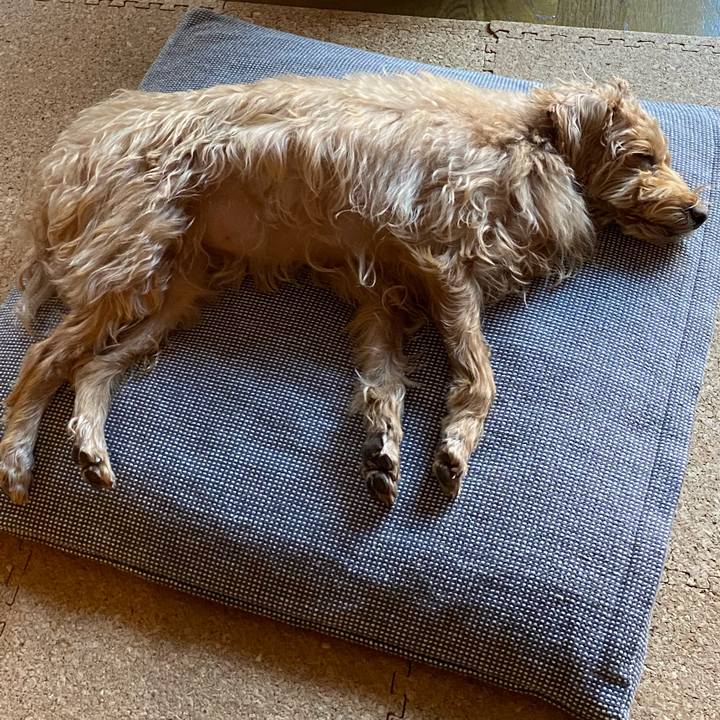 Ff5cf520 fb70 42a4 b746 9d0e18b5e5b0 1639138470406