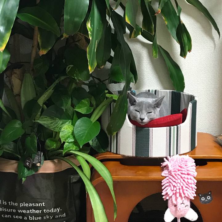 Ff5d1dae 2d70 4d24 8335 3167aeb364e7 1511959452544