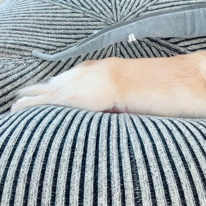 Ff5d30a1 6202 4ce1 b8d5 b4a473a881e4 1692875530729