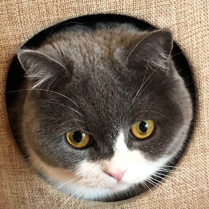 Ff5d3b93 9649 4937 87dd f0382170d3ba 1580716213580