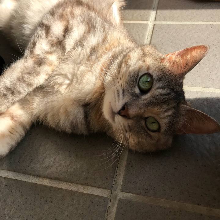 Ff5d486a 3db1 41b9 9ff3 44e909387eba 1511147178448