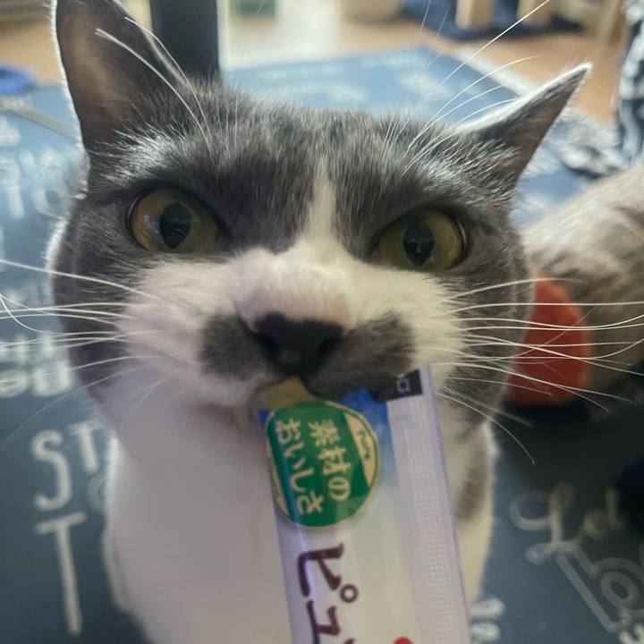 Ff5da5e9 19ff 405f 8e1e 6091e16dc08c 1722408746905