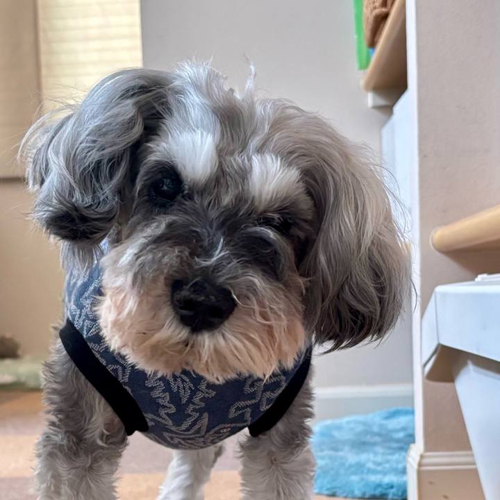 Ff5ddc69 ffed 4905 991b e013d99250bd 1762063701584