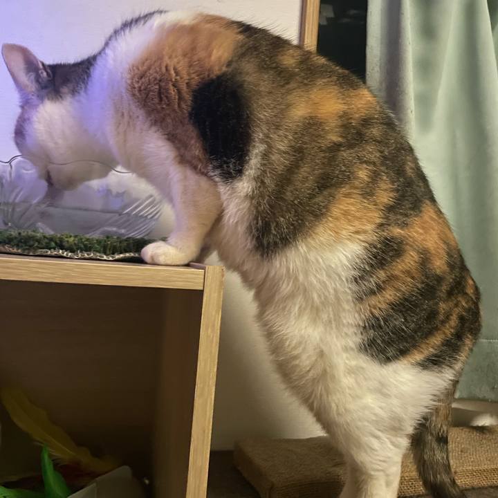 Ff5dfcc4 9767 4b1c aa99 90c5dcbc6b8d 1709294019570