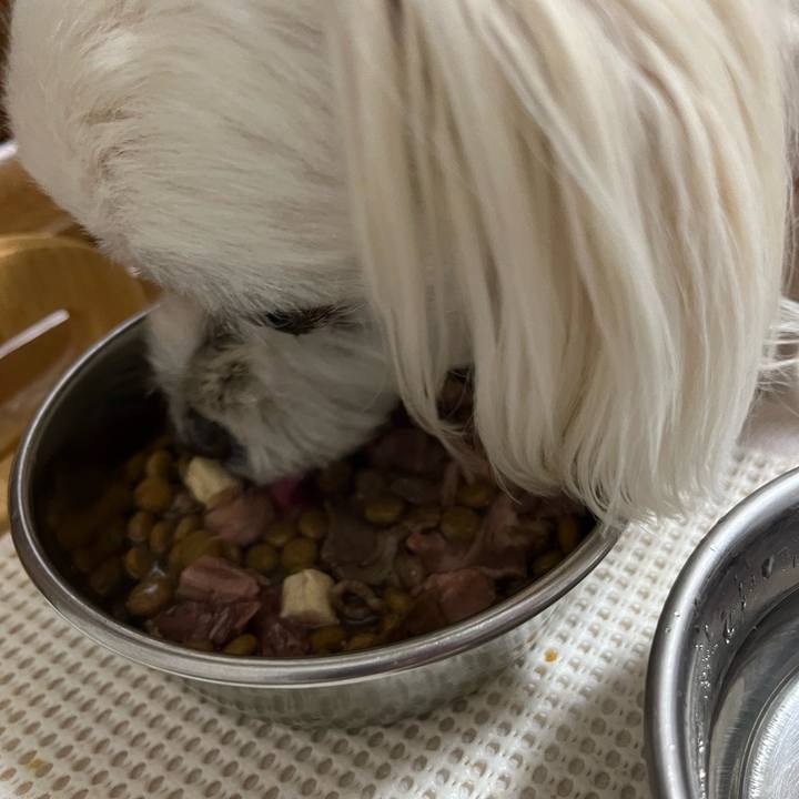 Ff5e1fbf 3d4d 4b8b bc3a 2e1cf59c9994 1697709918131