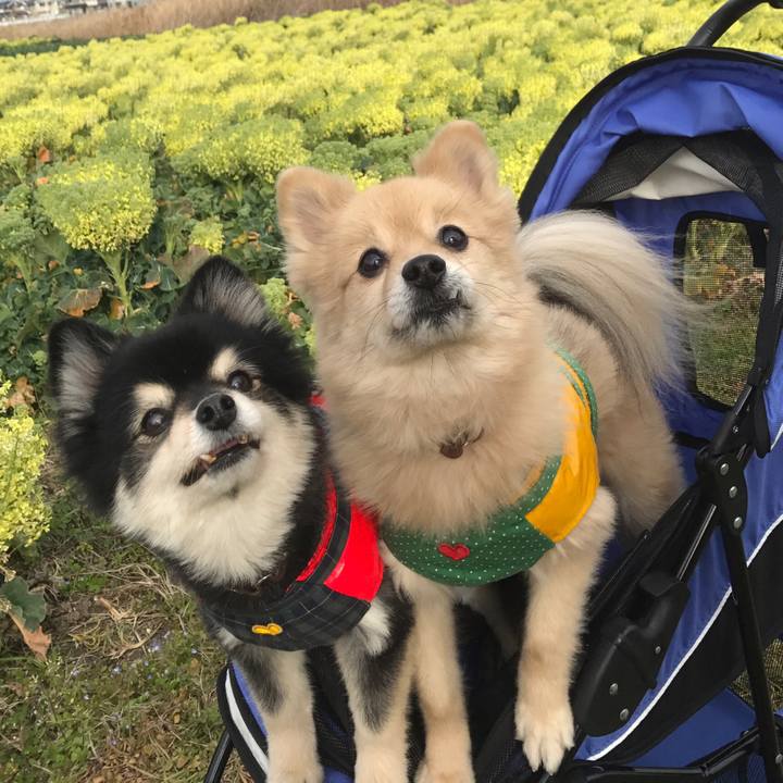 Ff5e28fb 8d52 4b38 b2ca a6fe38b2ed7f 1583632431478