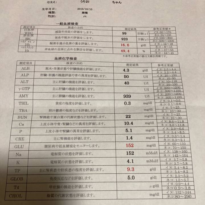 Ff5e328a 4765 49d1 951a 705f3e95e09e 1639302237097