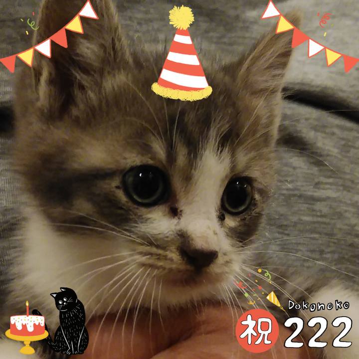 Ff5e7831 f770 48f0 b162 eab722b07960 1645502210841