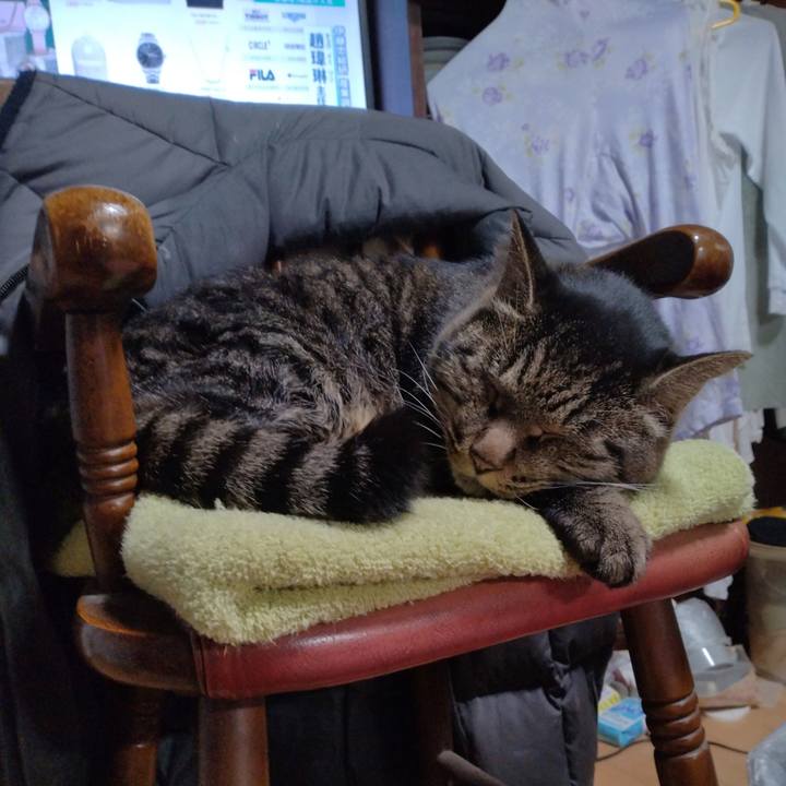 Ff5ea440 b186 48d4 a04b 241c994e644c 1699689877082